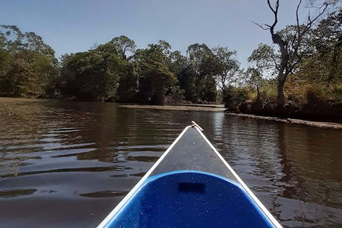 Noosa Hinterland Scenic Canoe & Abseil Tour - Port Augusta Accommodation 4