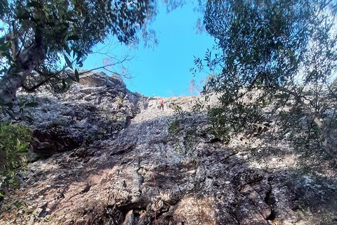 Noosa Hinterland Scenic Canoe & Abseil Tour - Port Augusta Accommodation 6
