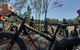 Noosa Hinterland Scenic FAT Bike Tour - thumb 6