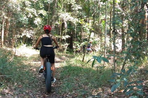 Noosa Hinterland Scenic FAT Bike Tour - Port Augusta Accommodation 5