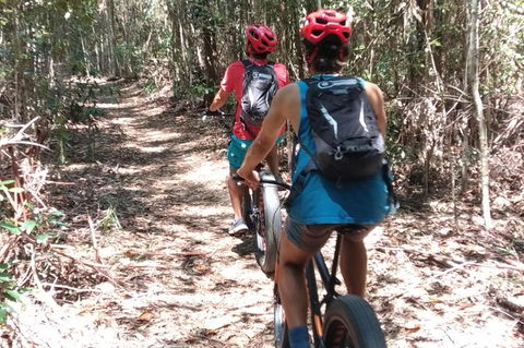 Noosa Hinterland Scenic FAT Bike Tour - Port Augusta Accommodation 3