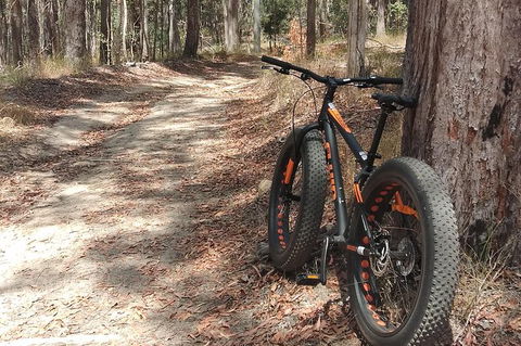 Noosa Hinterland Scenic FAT Bike Tour - Port Augusta Accommodation 7