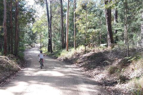 Noosa Hinterland Scenic FAT Bike Tour - Port Augusta Accommodation 4