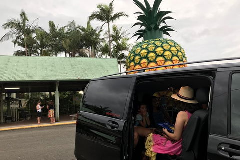 Private Transfer From Noosa To Brisbane Airport For 1 To 4 People - Port Augusta Accommodation 4