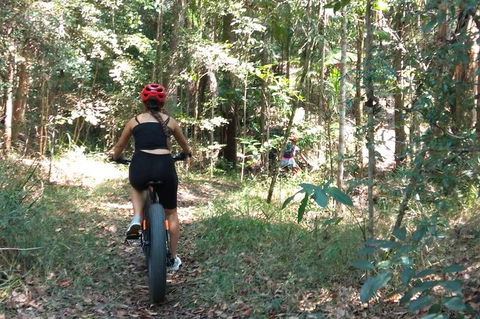 Noosa Hinterland Scenic Canoe & FAT Bike Tour - Port Augusta Accommodation 1