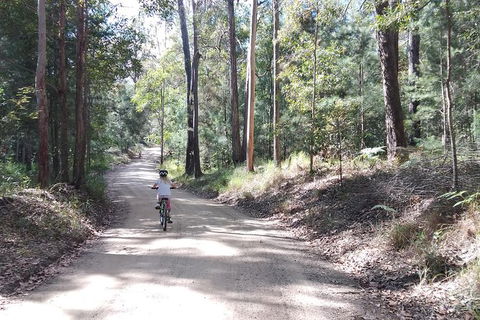 Noosa Hinterland Scenic Canoe & FAT Bike Tour - Port Augusta Accommodation 4