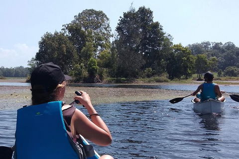 Noosa Hinterland Scenic Canoe & FAT Bike Tour - Port Augusta Accommodation 0