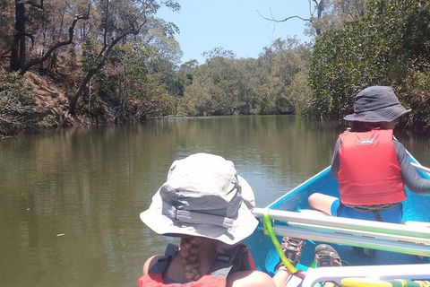 Noosa Hinterland Scenic Canoe Tour - Port Augusta Accommodation 1