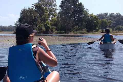 Noosa Hinterland Scenic Canoe Tour - Port Augusta Accommodation 2