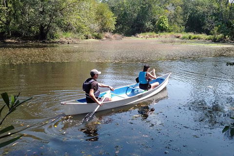 Noosa Hinterland Scenic Canoe Tour - Port Augusta Accommodation 6