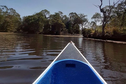 Noosa Hinterland Scenic Canoe Tour - Port Augusta Accommodation 3