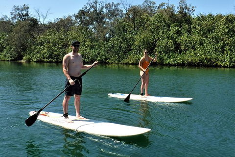 Paddle Board Hire In Surfers Paradise - Port Augusta Accommodation 2