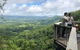 Sunshine Coast Scenic Hinterland High-Tea & Wine Tour (Min 6 Adults) - thumb 5