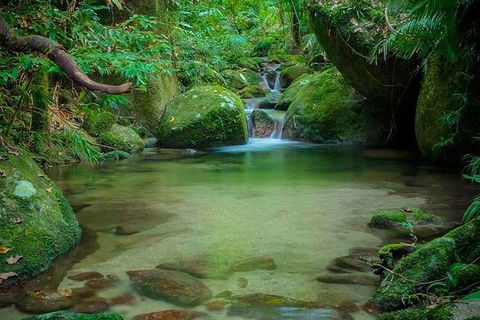 SHUTTLE - Mossman Gorge & Cooya Beach From Port Douglas (Return Transfer) - Port Augusta Accommodation 2