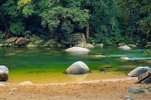 SHUTTLE - Mossman Gorge & Cooya Beach From Port Douglas (Return Transfer) - Port Augusta Accommodation 1