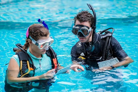 PADI Diving Courses On The Gold Coast - Port Augusta Accommodation 0