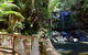 Half-Day Private Tour To Tamborine Mountain With Wine Tasting - Up To 6 People - thumb 3