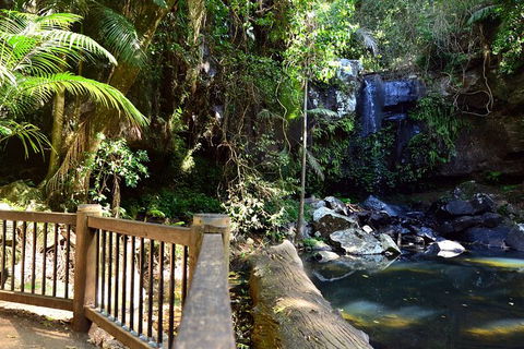Half-Day Private Tour To Tamborine Mountain With Wine Tasting - Up To 6 People - Port Augusta Accommodation 3