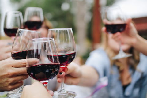 Half-Day Private Tour To Tamborine Mountain With Wine Tasting - Up To 6 People - Port Augusta Accommodation 2