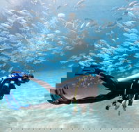 Exciting Gold Coast Diving Excursions