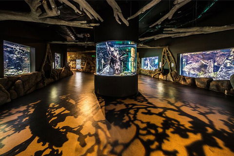 Cairns Aquarium By Twilight With 3 Course Dinner - Port Augusta Accommodation 7