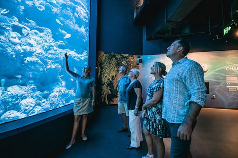 Cairns Aquarium By Twilight With 3 Course Dinner - Port Augusta Accommodation 0