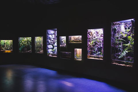 Cairns Aquarium By Twilight With 3 Course Dinner - Port Augusta Accommodation 3