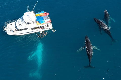 Remote Fraser Island & Whale Experience - Port Augusta Accommodation 3