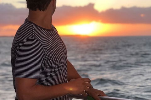 Sunset Twilight Cruise In Hervey Bay - Port Augusta Accommodation 3