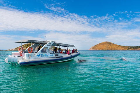 Southern Ocean Adventure From Victor Harbor - Port Augusta Accommodation 5