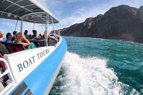 Southern Ocean Adventure From Victor Harbor - Port Augusta Accommodation 0