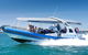 Southern Ocean Adventure From Victor Harbor - thumb 3