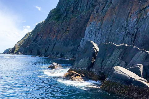 Southern Ocean Adventure From Victor Harbor - Port Augusta Accommodation 8