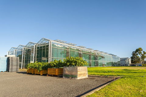 Yalumba Nursery & Grenache Discovery Tour + Platter Lunch - Port Augusta Accommodation 5