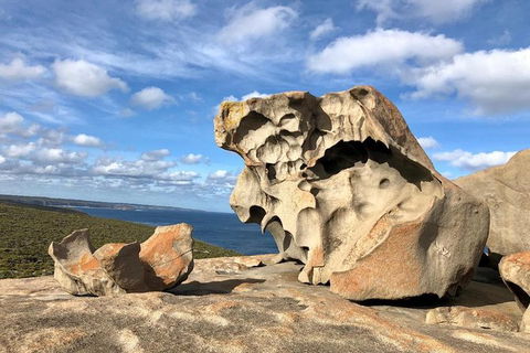 NEW TOUR - Flinders Chase Tour (Recovering From Fires) - Port Augusta Accommodation 2