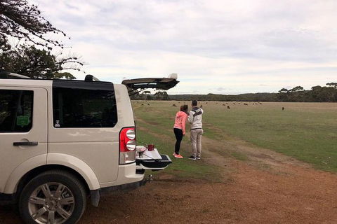 NEW TOUR - Flinders Chase Tour (Recovering From Fires) - Port Augusta Accommodation 6
