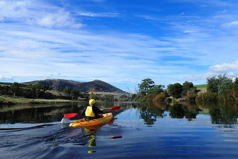 Paddle With The Platypus Twilight Kayak Adventure - Port Augusta Accommodation 5