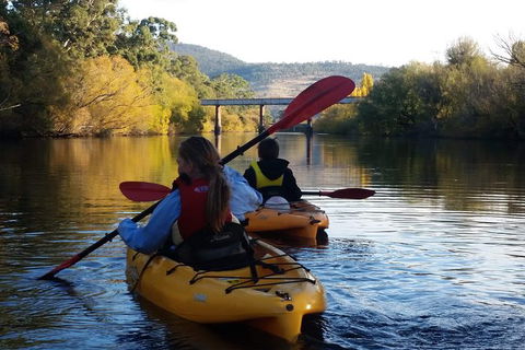Paddle With The Platypus Twilight Kayak Adventure - Port Augusta Accommodation 1