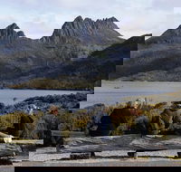 Cruise Ship Special from Burnie to Cradle Mountain - Port Augusta Accommodation
