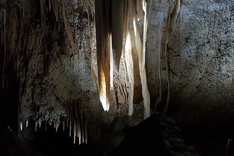 Shore Excursion: Coast, Caves And Wildlife Park - 8 Hour Tour - Port Augusta Accommodation 10