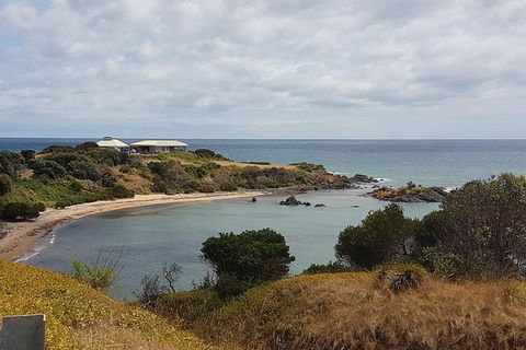 Shore Excursion: Coast, Caves And Wildlife Park - 8 Hour Tour - Port Augusta Accommodation 0