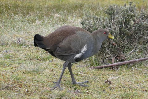 Shore Excursion: Coast, Caves And Wildlife Park - 8 Hour Tour - Port Augusta Accommodation 2
