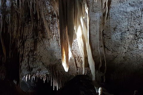 Shore Excursion: Coast, Caves And Wildlife Park - 8 Hour Tour - Port Augusta Accommodation 7