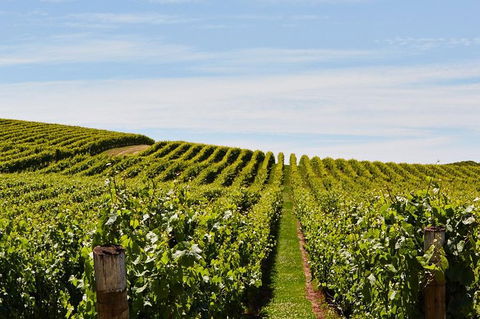 Launceston Wine & Sightseeing Tours - Port Augusta Accommodation 3