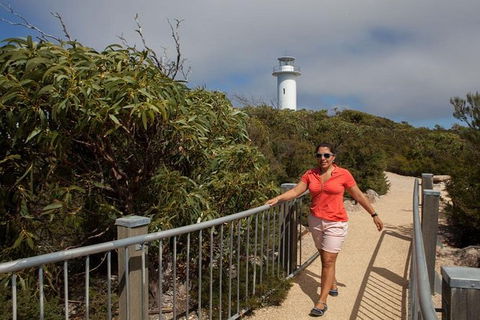 Half-Day Tour To Wineglass Bay From Launceston With Guide - Port Augusta Accommodation 2