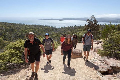 Half-Day Tour To Wineglass Bay From Launceston With Guide - Port Augusta Accommodation 4