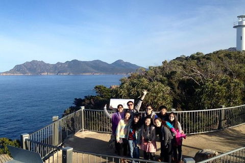 Half-Day Tour To Wineglass Bay From Launceston With Guide - Port Augusta Accommodation 3