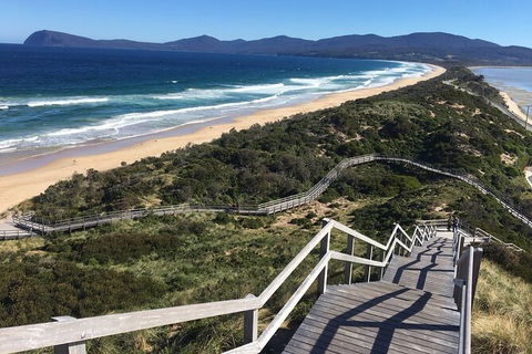 4-Day Fabulous Tasmania Tour: Wineglass Bay, Port Arthur, Devils & Bruny Island - Port Augusta Accommodation 3