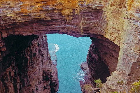 4-Day Fabulous Tasmania Tour: Wineglass Bay, Port Arthur, Devils & Bruny Island - Port Augusta Accommodation 6