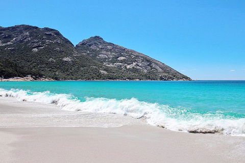 Sea & Explore Wineglass Bay & Freycinet National Park - Cruise & Walk - Port Augusta Accommodation 4